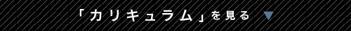 「カリキュラム」を見る
