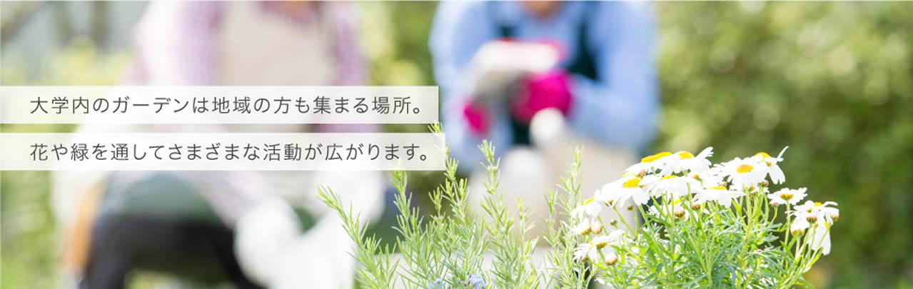札幌国際大学についてのイメージ写真