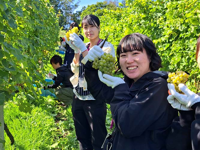 （バス旅）ぶどう収穫★ボランティアツアー