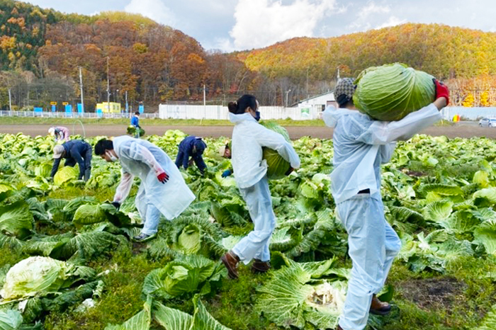 観光学部2021年度国際交流・地域貢献の報告