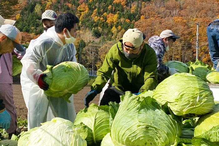 観光学部2021年度国際交流・地域貢献の報告