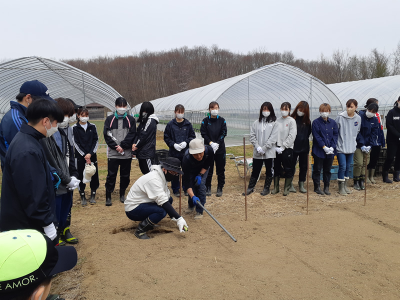 【子ども心理専攻】ボランティア「三日月農園」農作物の植え付けのサムネイル画像
