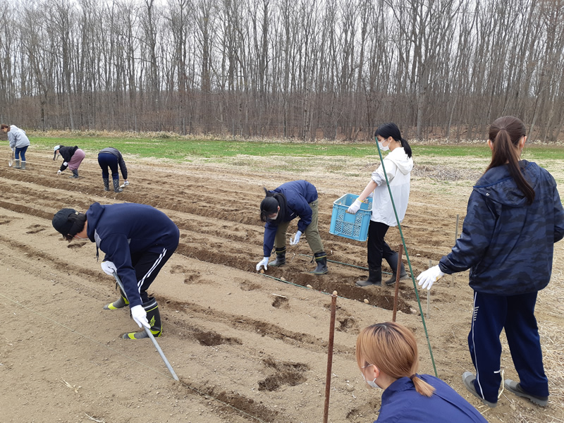【子ども心理専攻】ボランティア活動～「三日月農園」農作物の植え付け作業