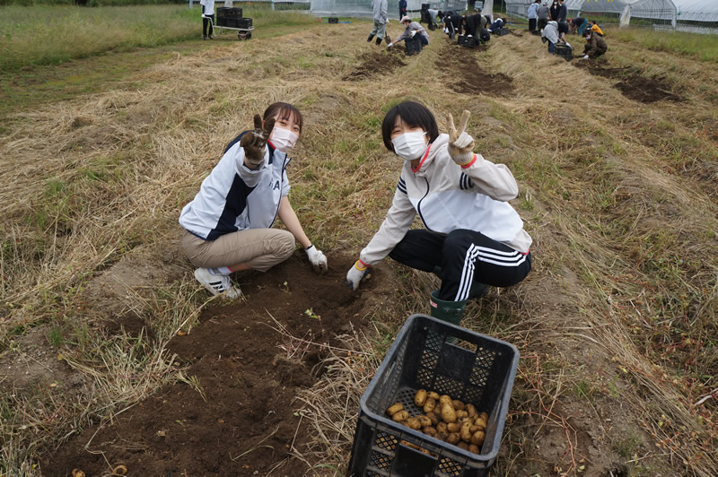 【子ども心理学科】ボランティア活動