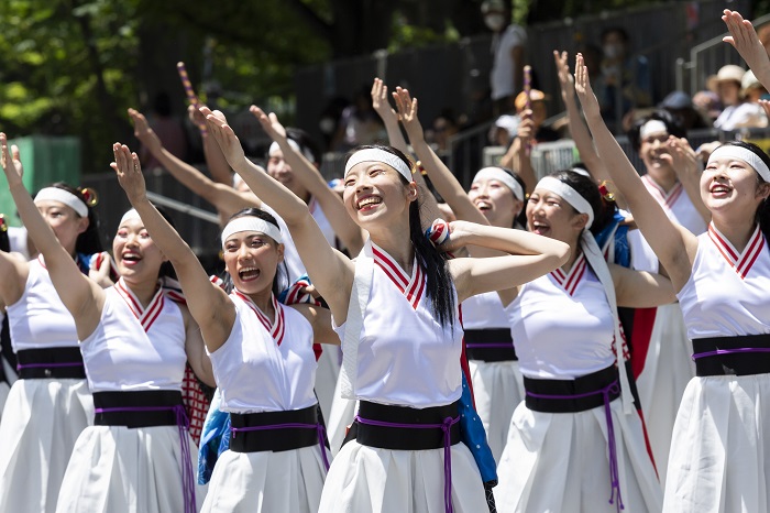 【YOSAKOIソーラン部】導歌の響き、観客を魅了！