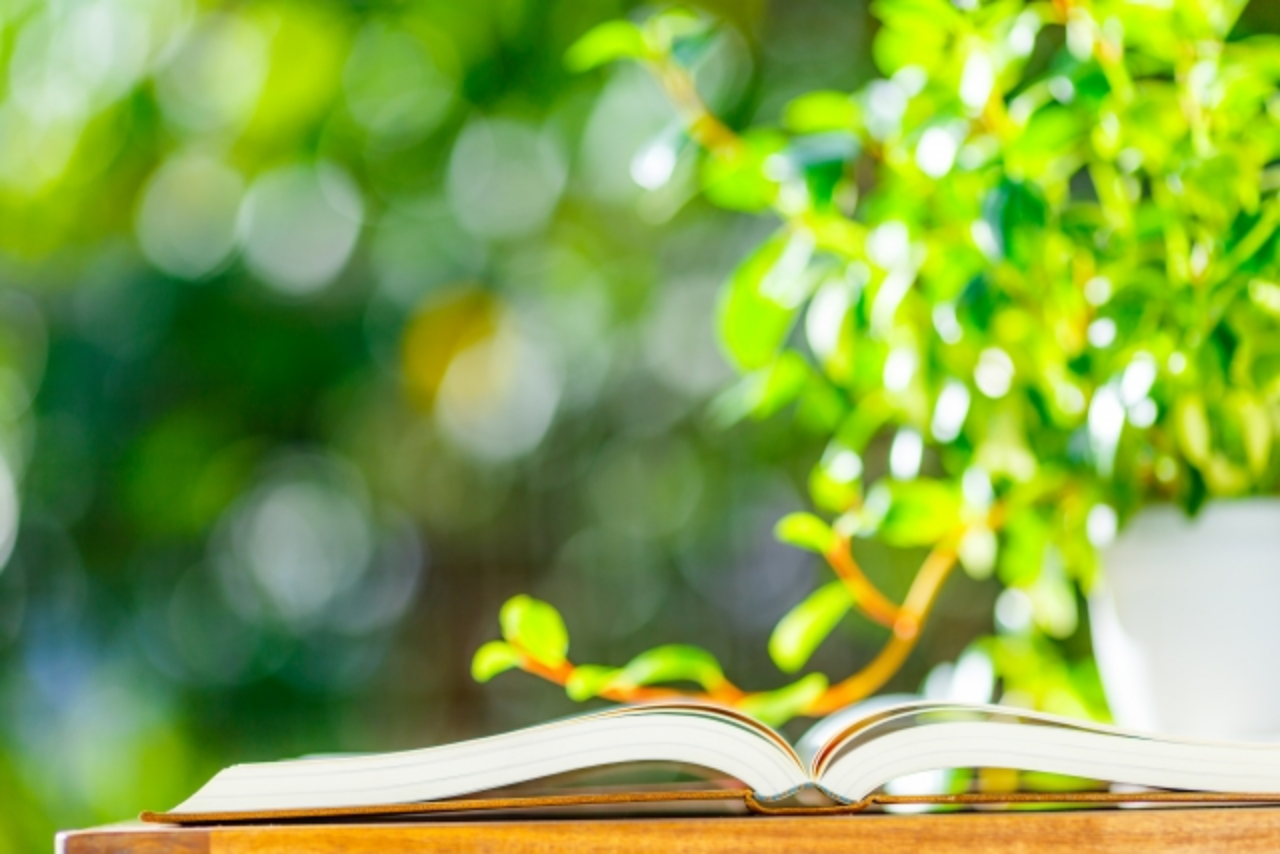 夏季休業中の図書館「開館日」のお知らせ (学外の方)のサムネイル画像