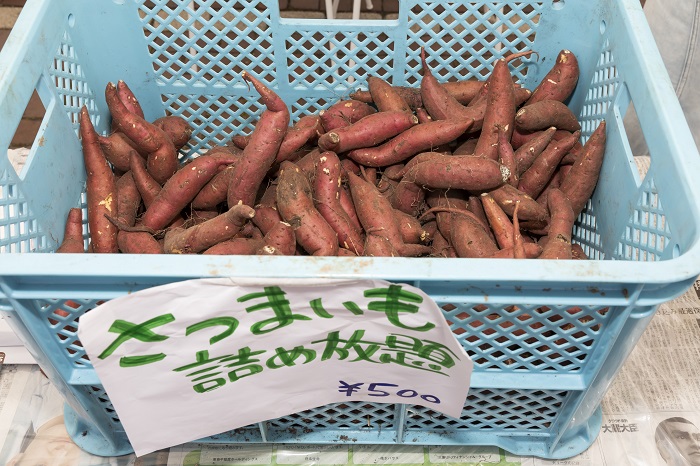 【国際教養】大学祭で食品廃棄物を減らすスムージープロジェクト