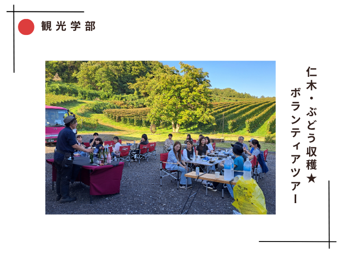 【観光】今年も実施!!仁木・ぶどう収穫★ボランティアツアーのサムネイル画像