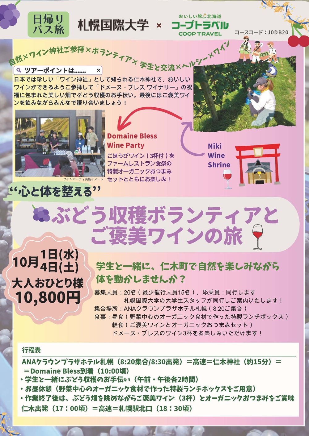 札幌国際大学　観光学部　ボランティア　仁木町　ブドウ収穫