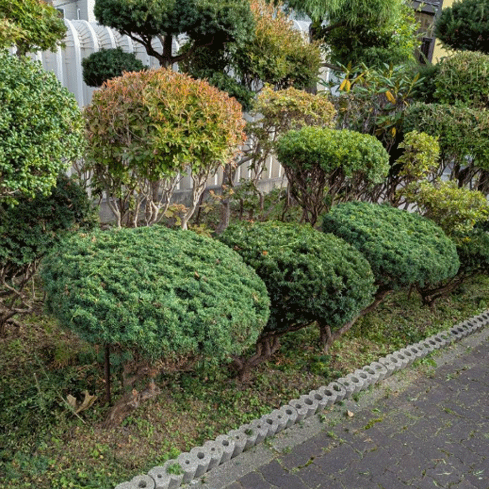 札幌国際大学　臨床心理