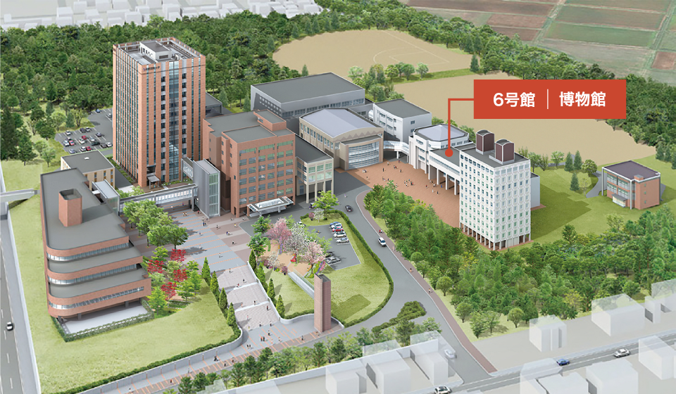 札幌国際大学キャンパス鳥瞰
