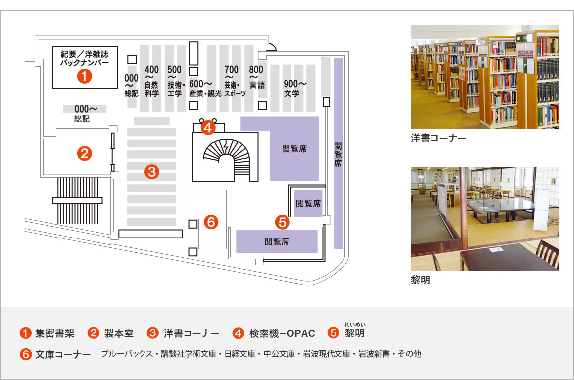 図書館の写真11