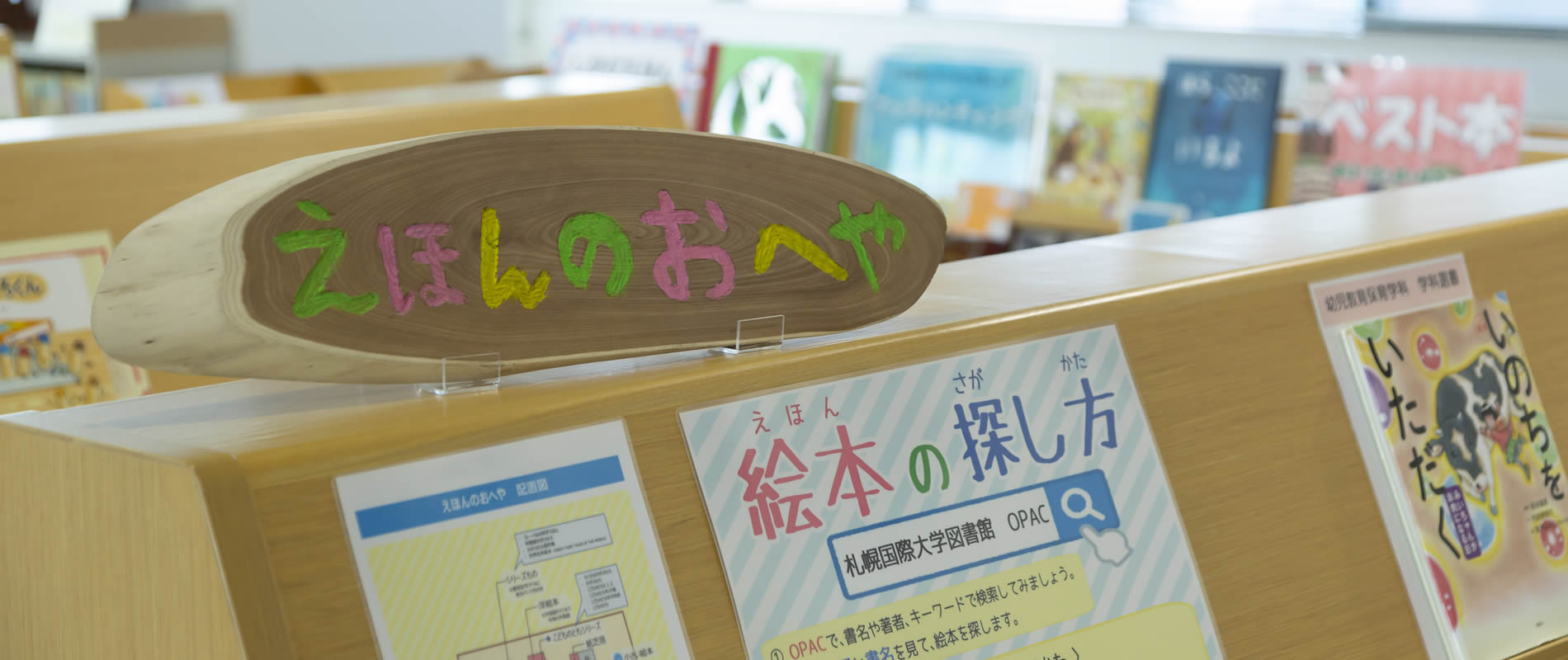 国際大学の図書館MV画像3