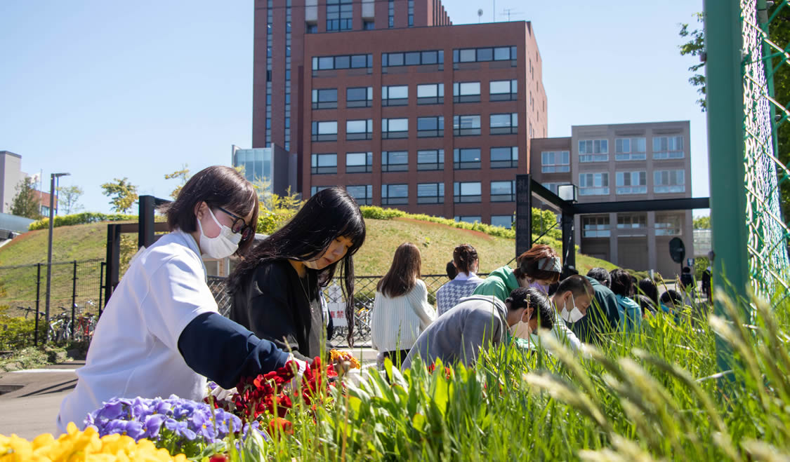 札幌国際大学の花壇の手入れをしている写真