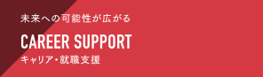CAREER SUPPORT