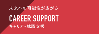 CAREER SUPPORT